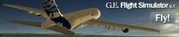 Google Earth Flight Simulator cover