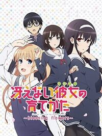 Saenai Heroine no Sodatekata: Blessing Flowers cover