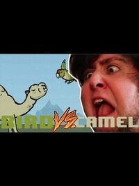JonTron: Bird vs. Camel cover