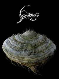 Samorost cover