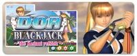 Girls of DOA Blackjack: The Kasumi Version cover
