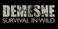 Demesne cover