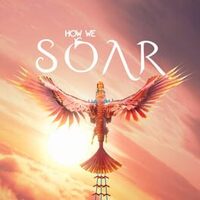 How We Soar cover