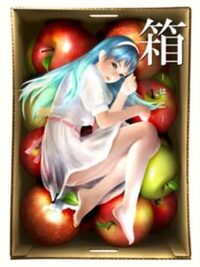 Hako cover