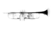 Trumpet cover
