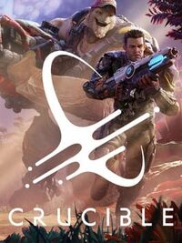 Crucible cover