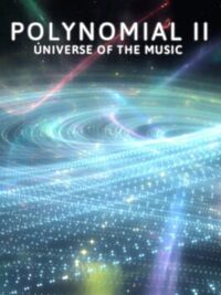 Polynomial 2 cover