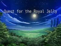 Quest for the Royal Jelly cover