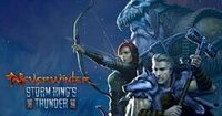 Neverwinter: Storm King's Thunder cover