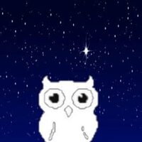 Block Owl cover
