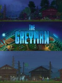 The Grey Man cover