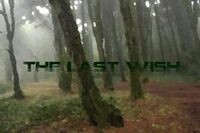 The Last Wish cover