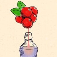 BerryMaker: DNA Soda factory cover
