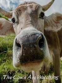 The Cows Are Watching cover