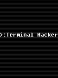 Terminal Hacker cover