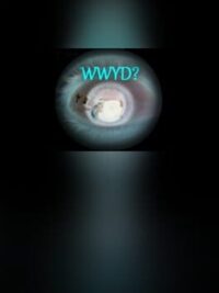 What Would You Do? cover