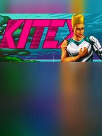 Kite cover