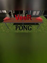 VeeR Pong cover