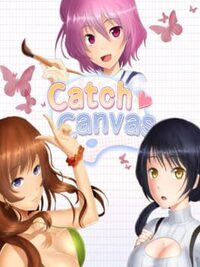Catch Canvas cover
