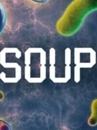 Soup cover