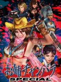 Onechanbara Special cover