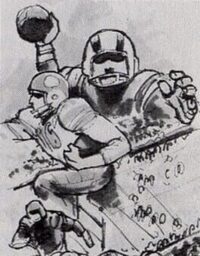 Pigskin cover