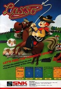 Lasso cover
