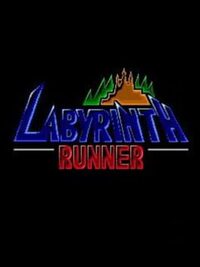 Labyrinth Runner cover