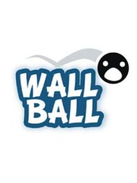 Wall Ball cover