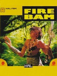 Fire Bam cover