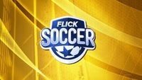 Flick Soccer! cover