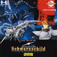 Super Schwarzschild cover