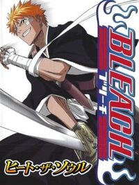 Bleach Heat the Soul cover