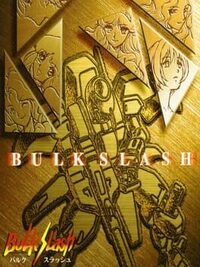 Bulk Slash cover