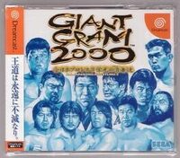 Giant Gram 2000: All Japan Pro Wrestling 3 cover