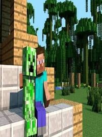 The Minecraft tribute game cover
