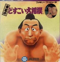 Terao no Dosukoi Oozumou cover