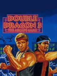 Double Dragon 3: The Arcade Game cover