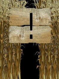 Corn Maze cover