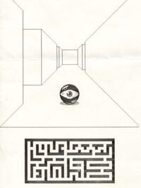 Maze cover