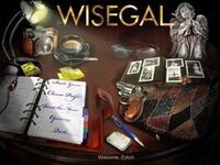 Wisegal cover