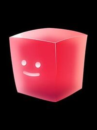 Puzzle of Jellies cover